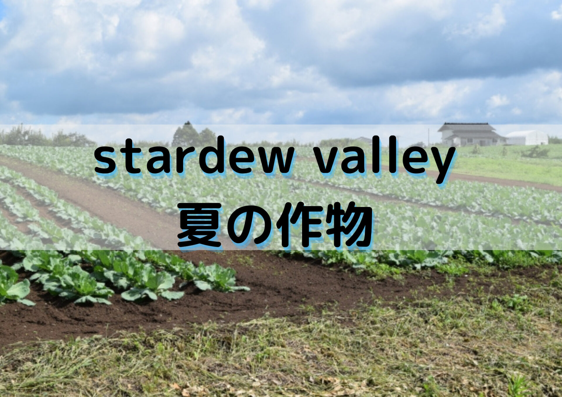 Stardew Valley 夏の作物の効率化を解説 序盤の金策とは Exblog