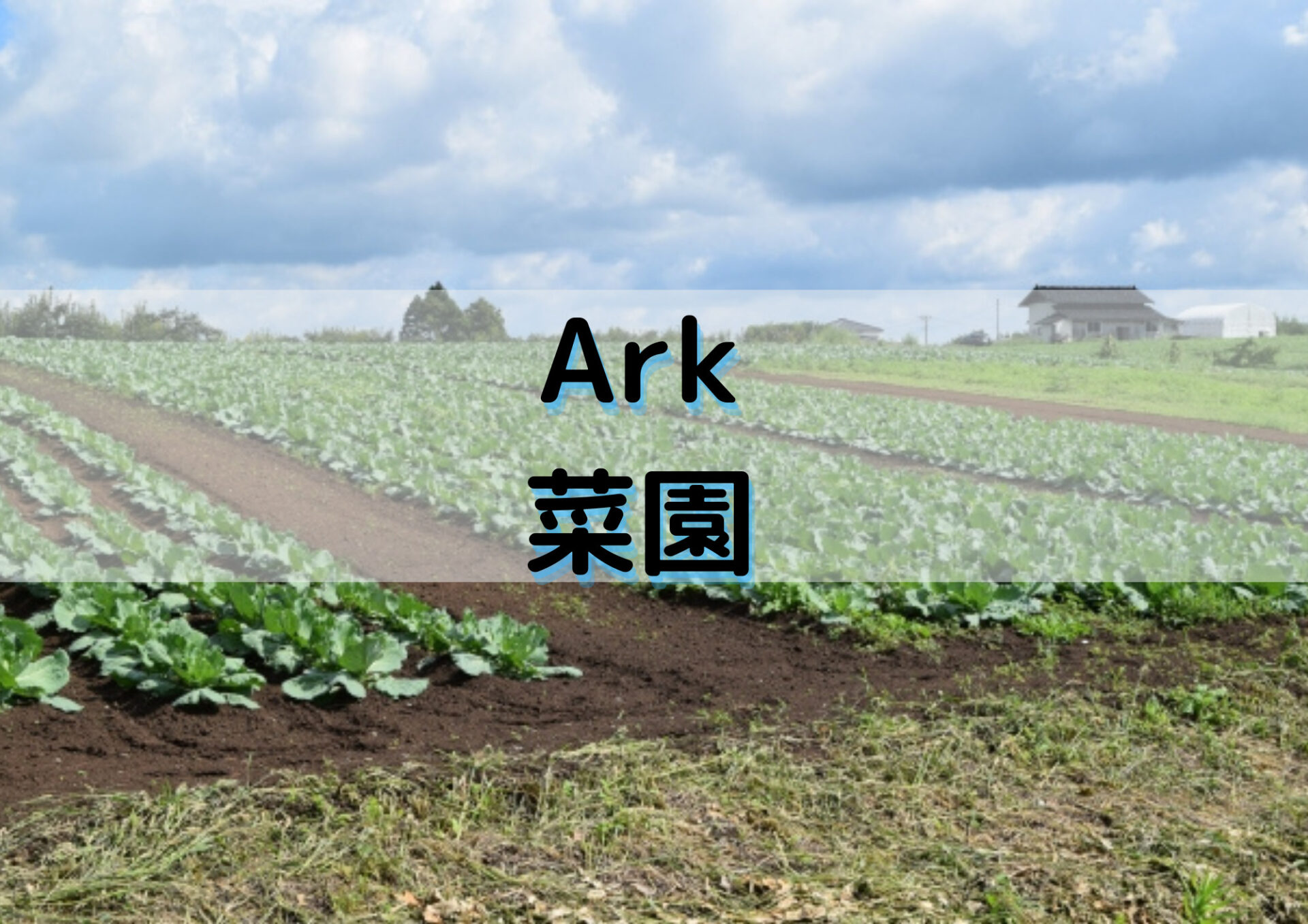 Ark 菜園の効率重視の置き方 温室部屋を紹介 水や肥料 重ね方も注目 Exblog